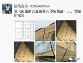 履約思源，不忘初心 2017年11月11日精品木材銷售信息速遞