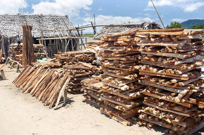 木柴購物視覺全攻略 從圖片素材到創(chuàng)意插畫，打造吸睛營銷