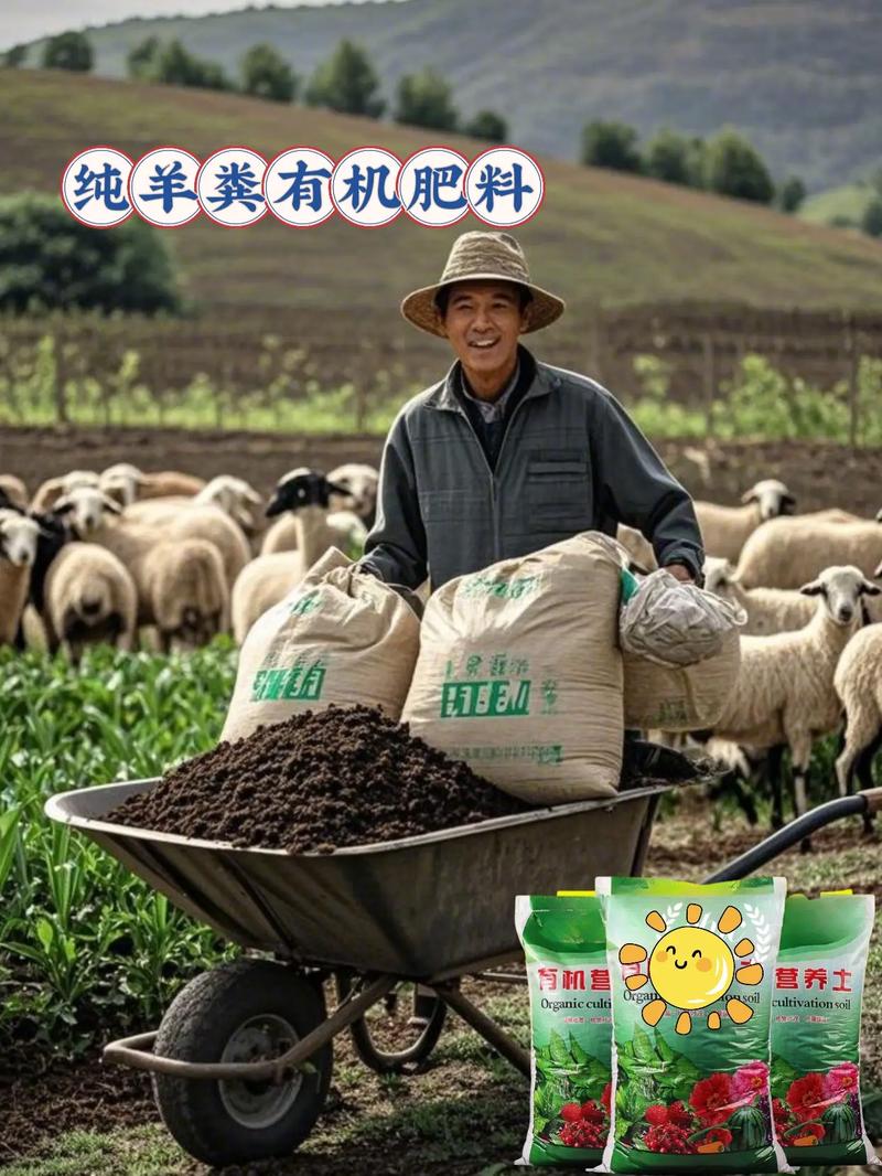 養(yǎng)花種菜通用無異味 純羊糞有機(jī)肥，花友菜友的寶藏肥料