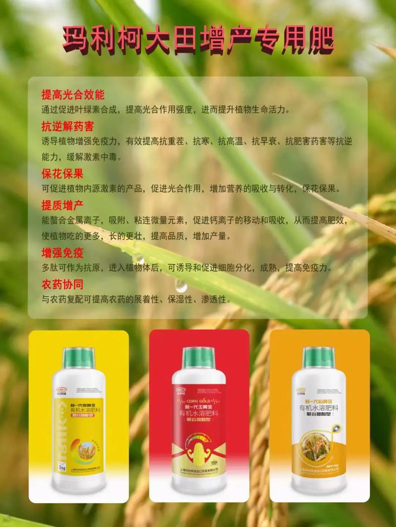 玉黃金有機(jī)水溶肥料（聚谷氨酸型） 玉米專用有機(jī)肥的科學(xué)施用與增產(chǎn)密碼