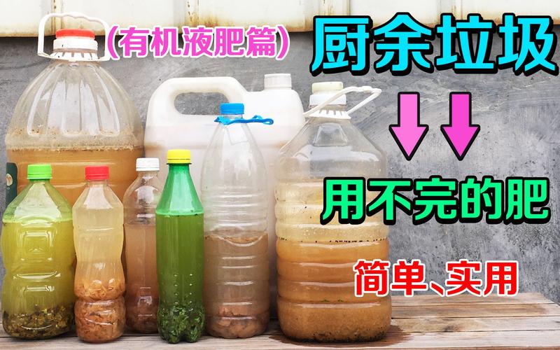 廚余垃圾變廢為寶 家庭DIY有機肥完全指南